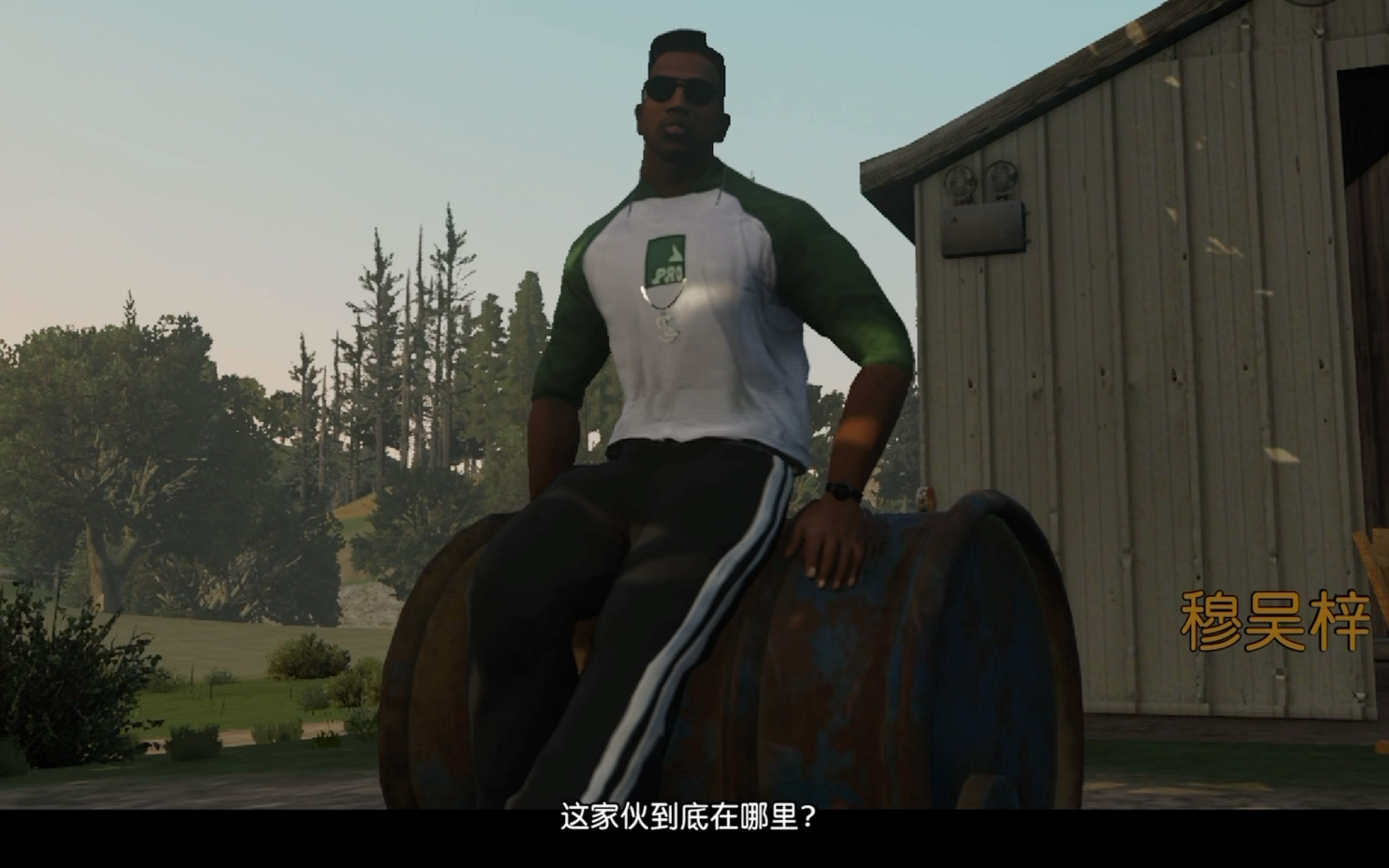 gtasa苹果版任务gtasa作弊码手机版ios-第2张图片-太平洋在线下载