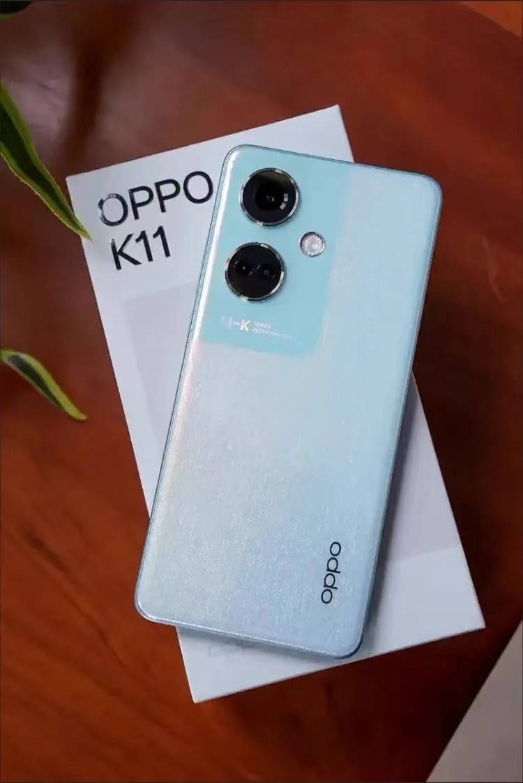 oppo安卓11正式版coloros111正式版-第2张图片-太平洋在线下载