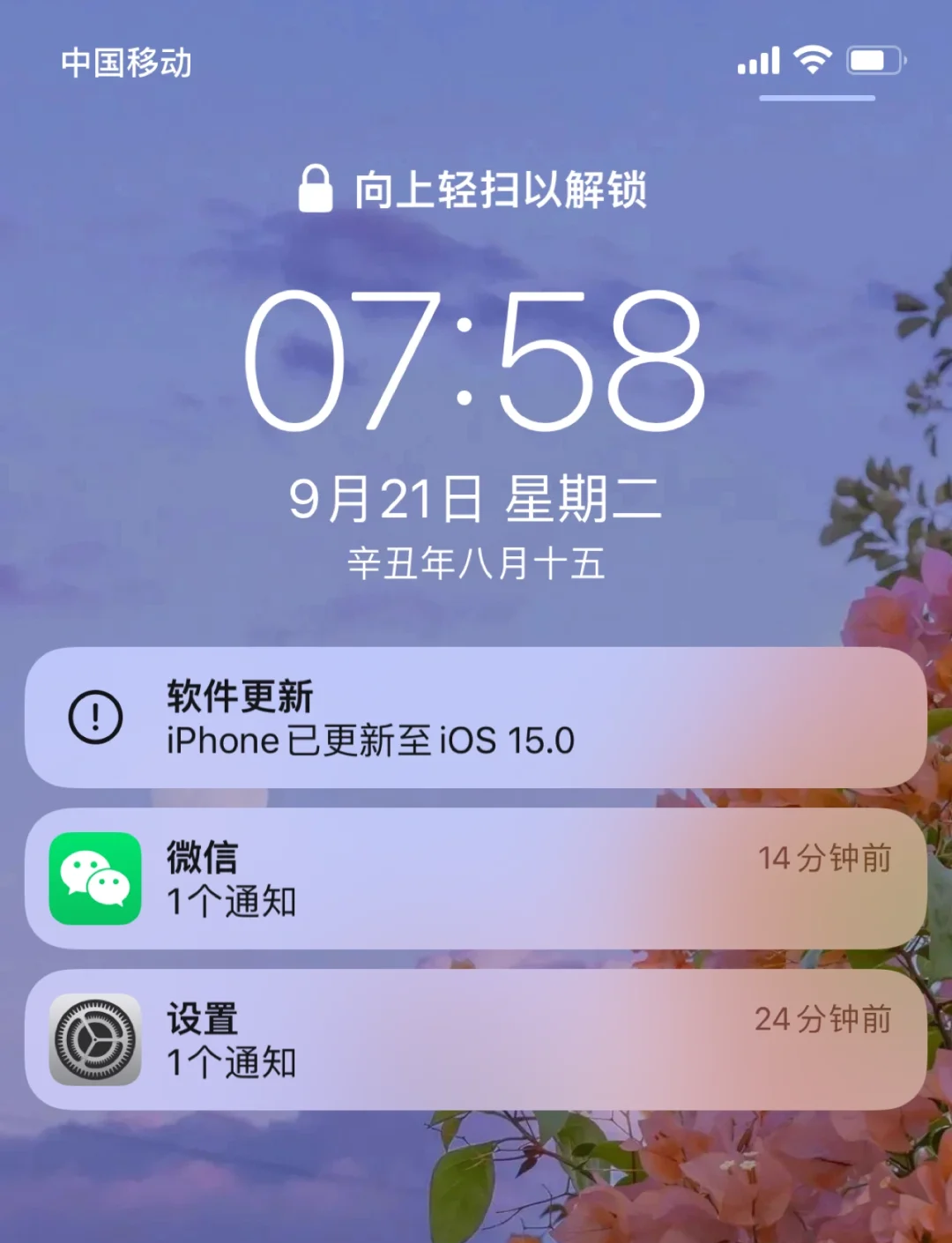 苹果12测试版怎么查询苹果新手机怎么查询是否激活过
