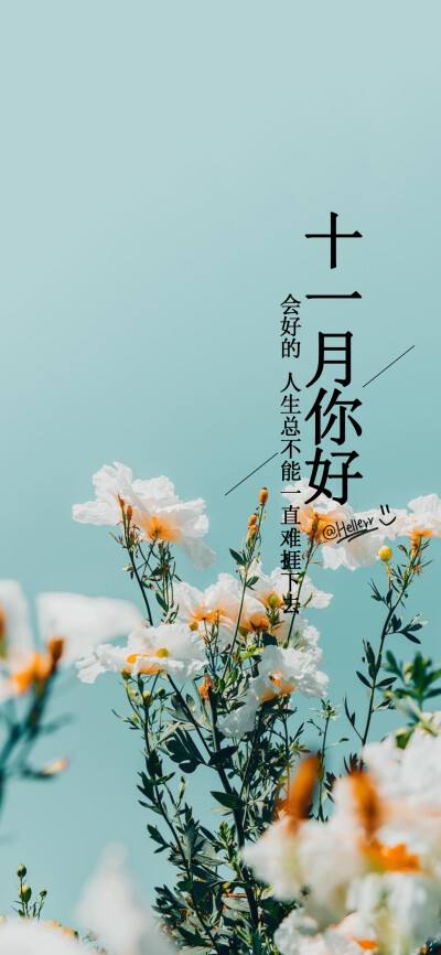 群发快手手机版快手可以群发私信吗-第2张图片-太平洋在线下载