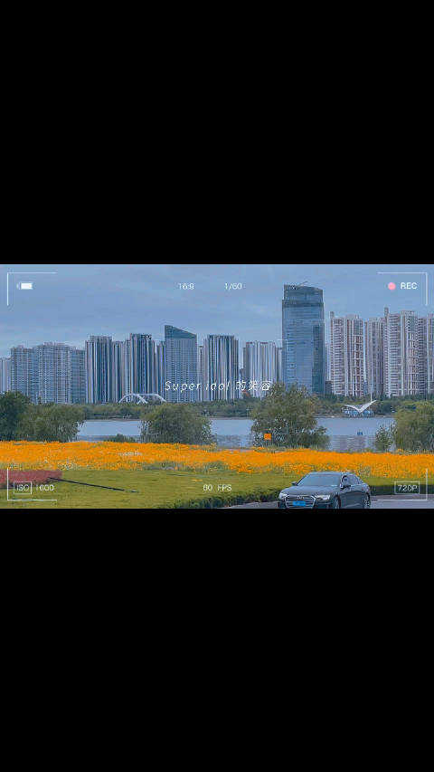 大黄视频客户端的简单介绍-第2张图片-太平洋在线下载